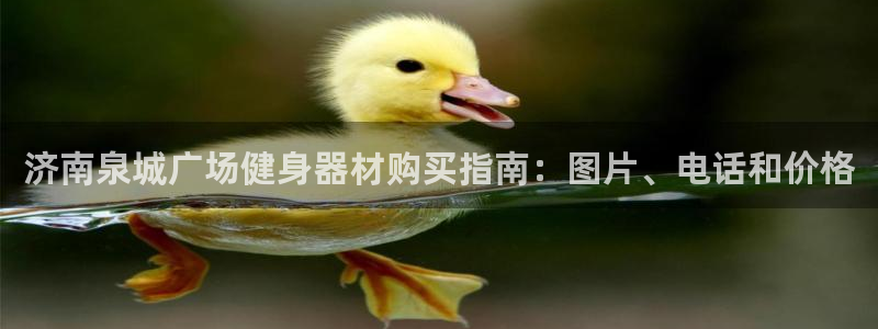 耀世娱乐官网首页登录不了：济南泉城广场健身器材购买指