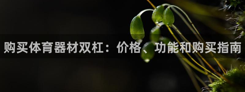 耀世平台招商：购买体育器材双杠：价格、功能和购买指南