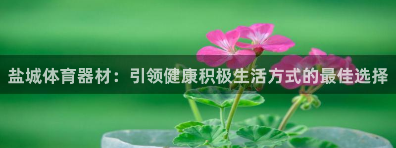 耀世娱乐安全吗：盐城体育器材：引领健康积极生活方式的
