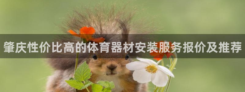 耀世娱乐如何登录平台账号：肇庆性价比高的体育器材安装