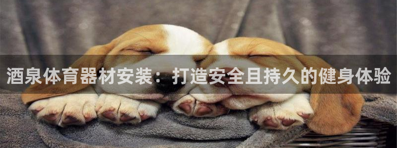 耀世娱乐能提现吗现在怎么样：酒泉体育器材安装：打造安