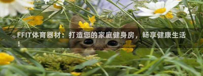 耀世三国官网：FFIT体育器材：打造您的家庭健身房，