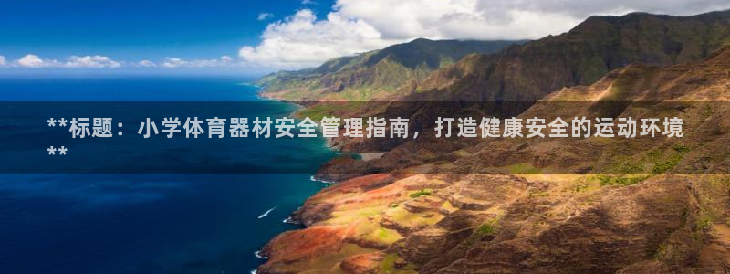 耀世天下的微信名字好吗：**标题：小学体育器材安全管