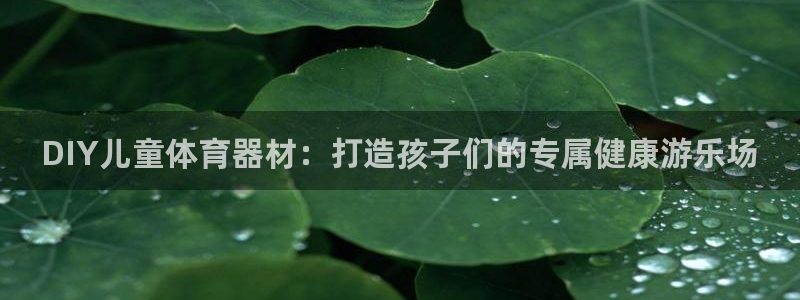 耀世平台总代理：DIY儿童体育器材：打造孩子们的专属健康游乐