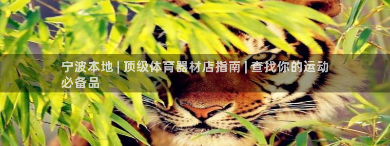 耀世娱乐软件下载：宁波本地 | 顶级体育器材店指南 