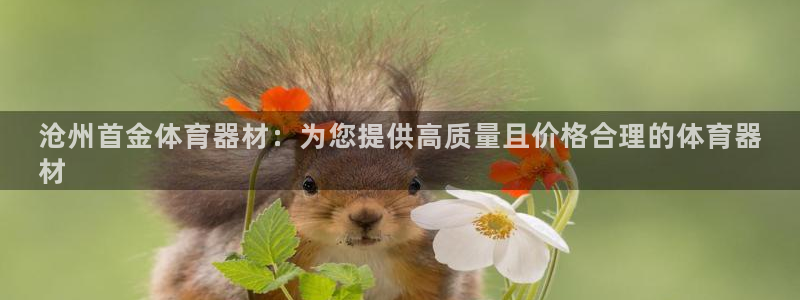 耀世平台注册：沧州首金体育器材：为您提供高质量且价格